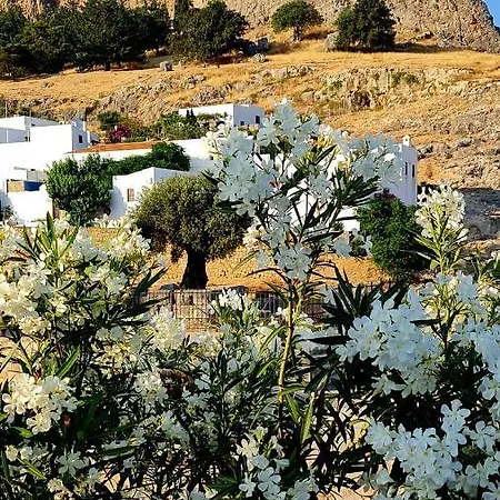 Apartment Center Lindos (Rhodes)